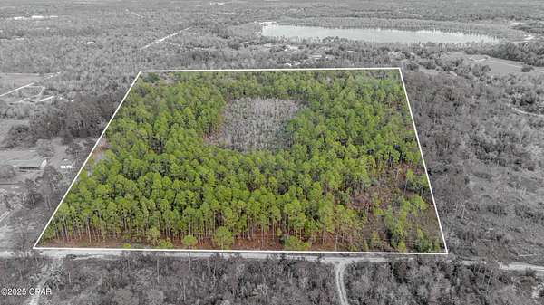 20 Acres of Land for Sale in Altha, Florida