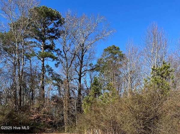 3 Acres of Residential Land for Sale in Chocowinity, North Carolina