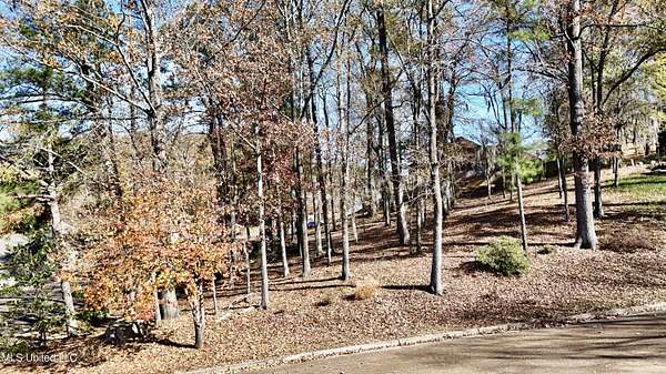 0.25 Acres of Residential Land for Sale in Clinton, Mississippi