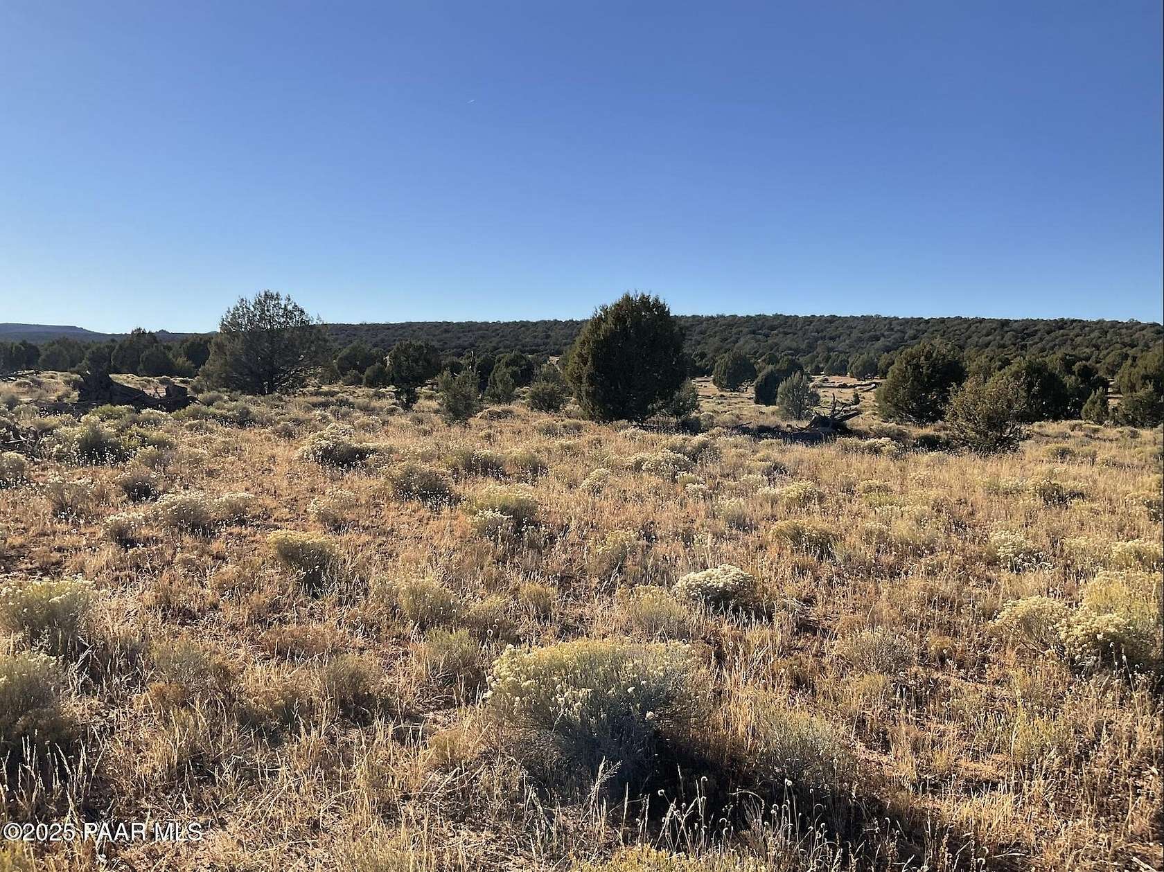 9.5 Acres of Residential Land for Sale in Williams, Arizona
