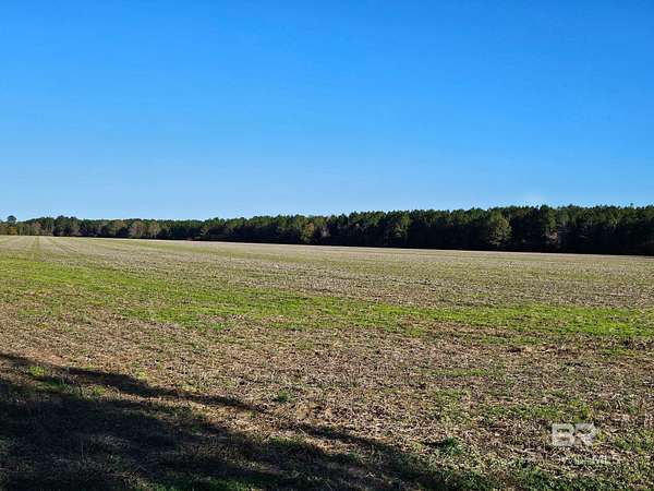223 Acres of Land for Sale in Atmore, Alabama
