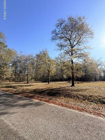 2 Acres of Residential Land for Sale in Varnville, South Carolina