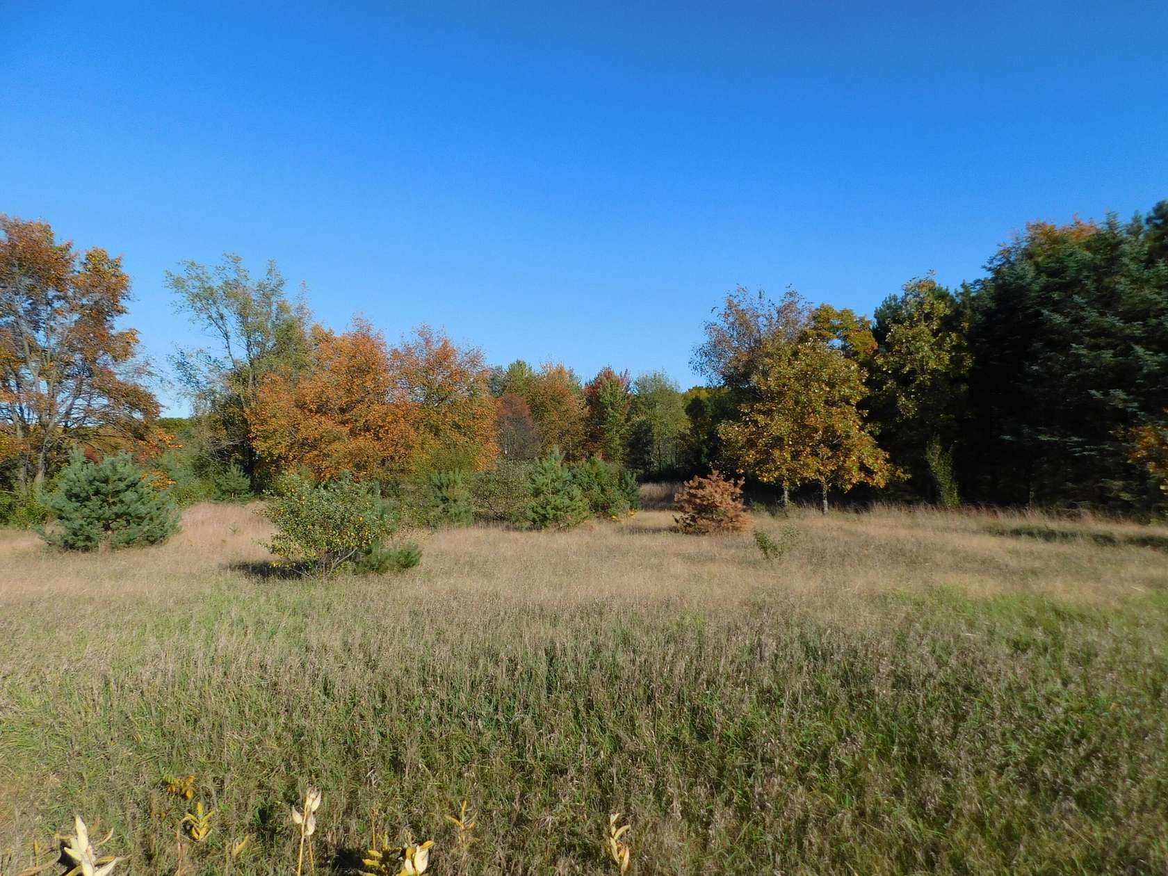 3 Acres of Land for Sale in Ravenna, Michigan