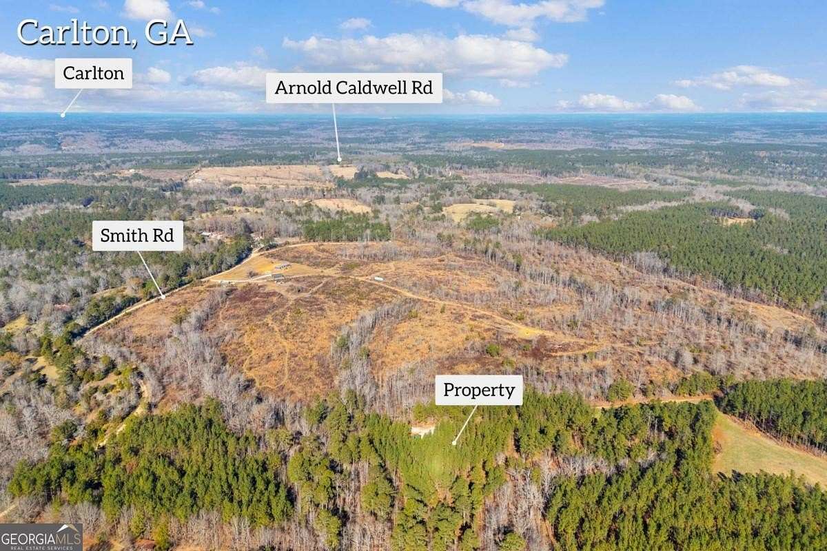 73 Acres of Recreational Land for Sale in Carlton, Georgia