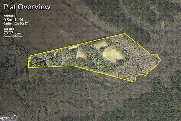 73 Acres of Recreational Land for Sale in Carlton, Georgia