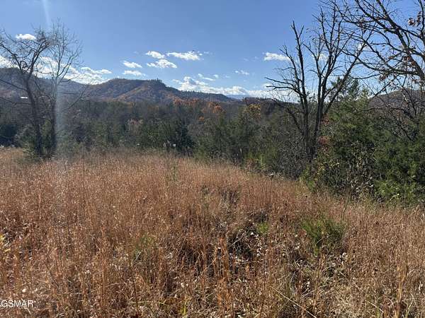 39 Acres of Land for Sale in Sevierville, Tennessee
