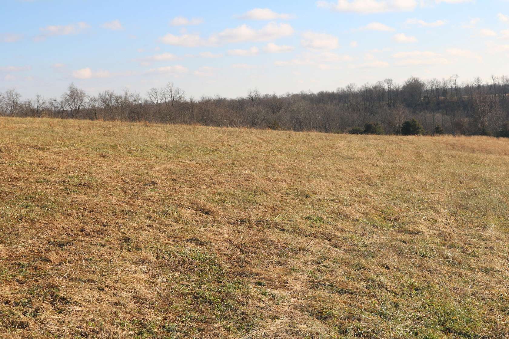 17 Acres of Land for Sale in Carlisle, Kentucky