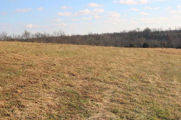 17 Acres of Land for Sale in Carlisle, Kentucky