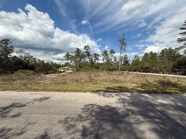 0.31 Acres of Residential Land for Sale in Ocklawaha, Florida