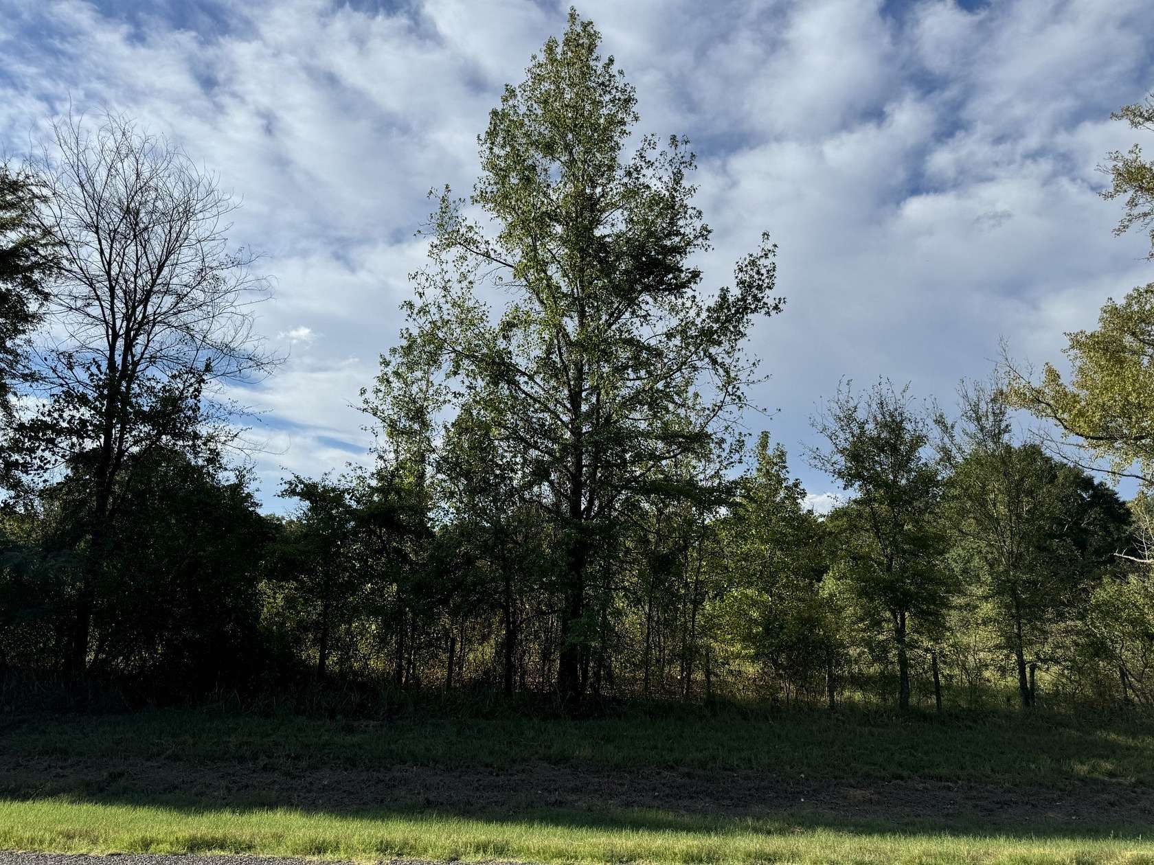 3.55 Acres of Residential Land for Sale in Bagwell, Texas