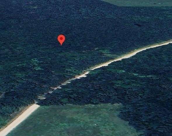 50 Acres of Recreational Land for Sale in De Kalb, Texas