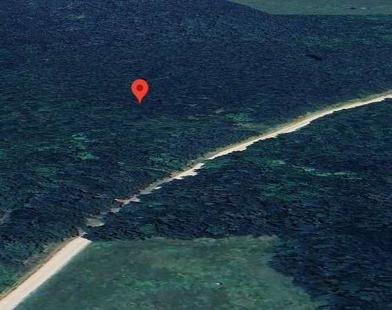 50 Acres of Recreational Land for Sale in De Kalb, Texas