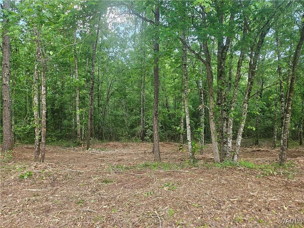 0.99 Acres of Land for Sale in Gordo, Alabama