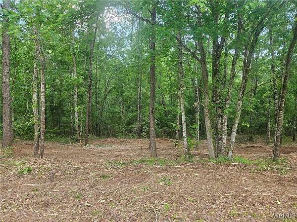 0.99 Acres of Land for Sale in Gordo, Alabama
