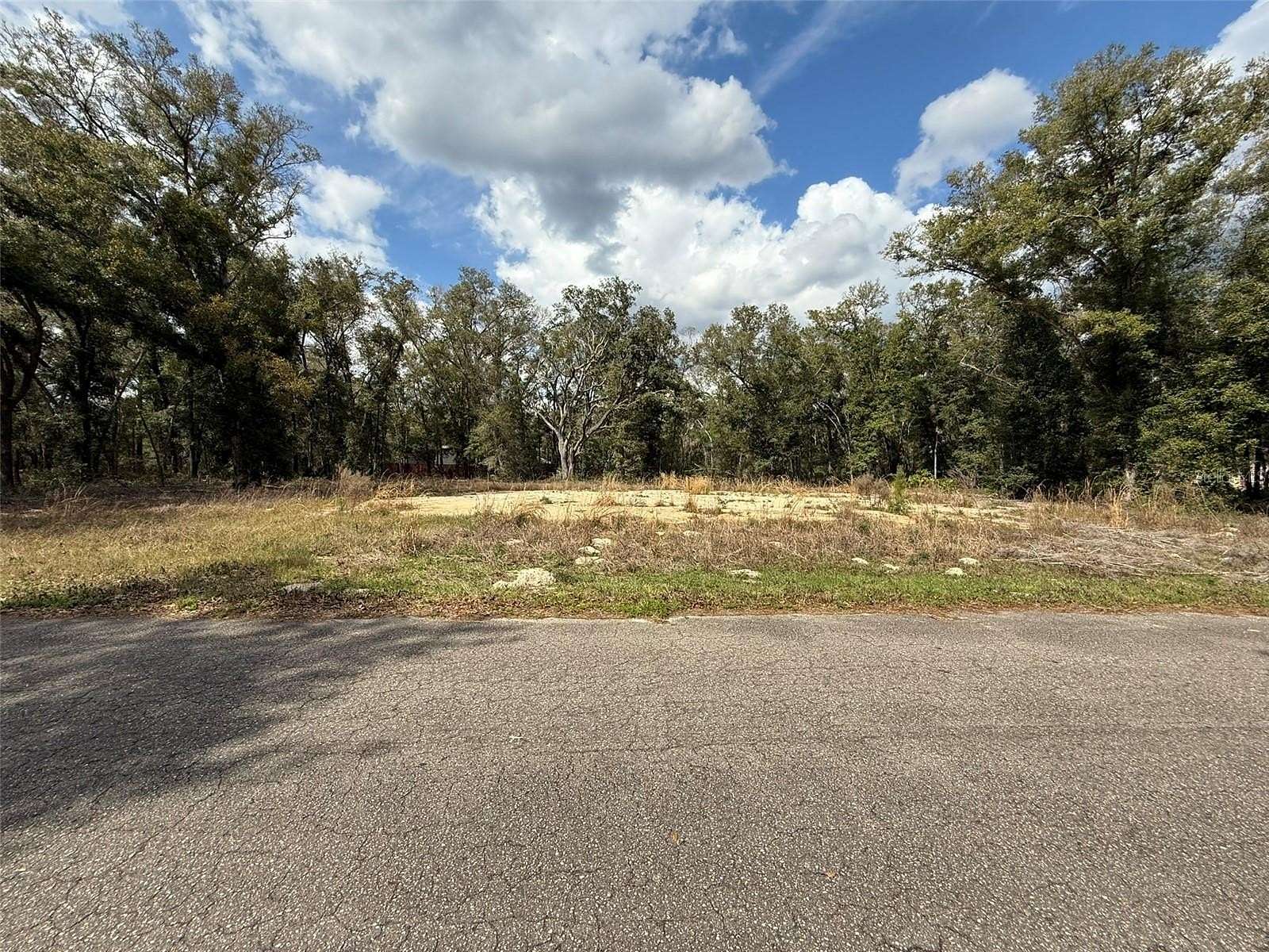 0.33 Acres of Residential Land for Sale in Ocklawaha, Florida
