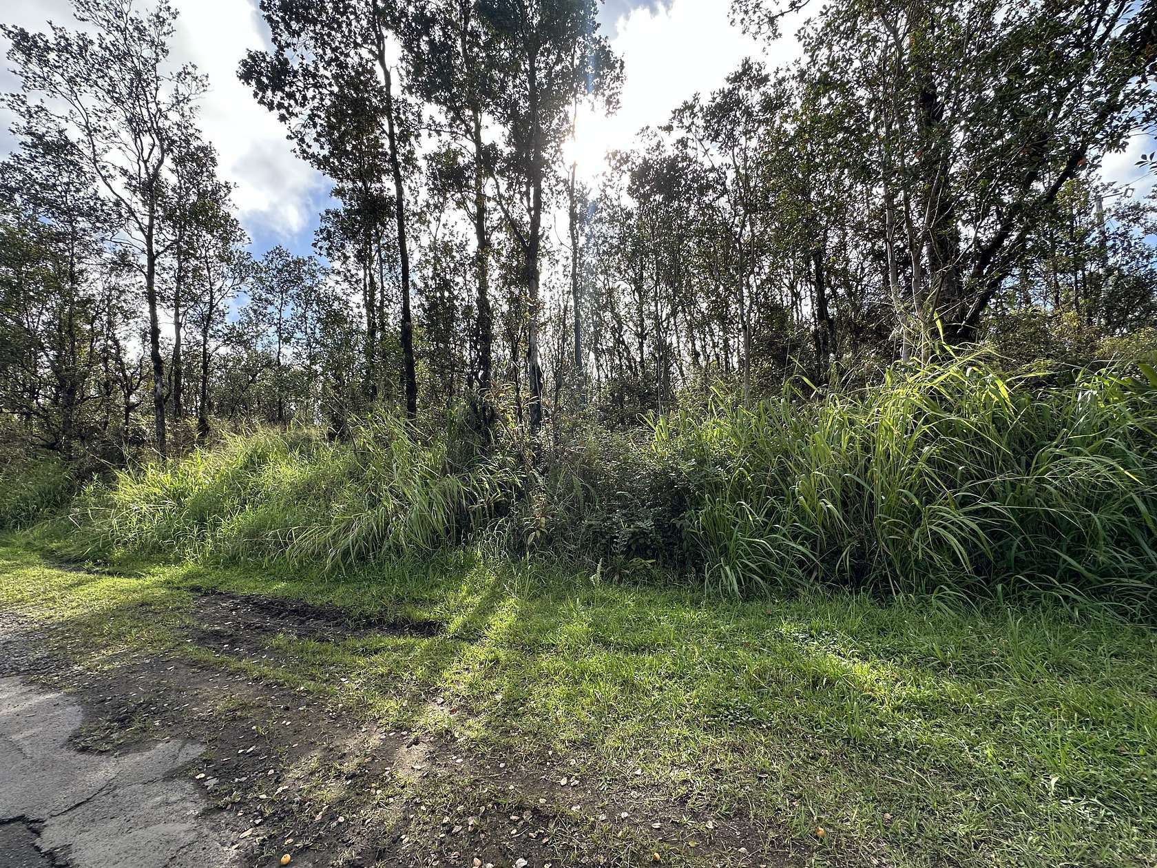 1 Acre of Land for Sale in Mountain View, Hawaii