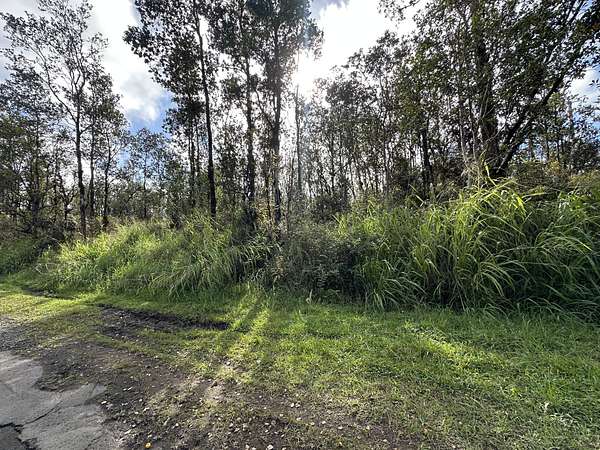 1 Acre of Land for Sale in Mountain View, Hawaii