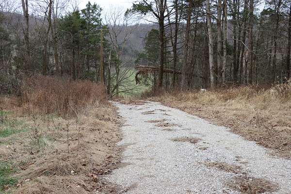 258 Acres of Recreational Land & Farm for Sale in Horse Cave, Kentucky