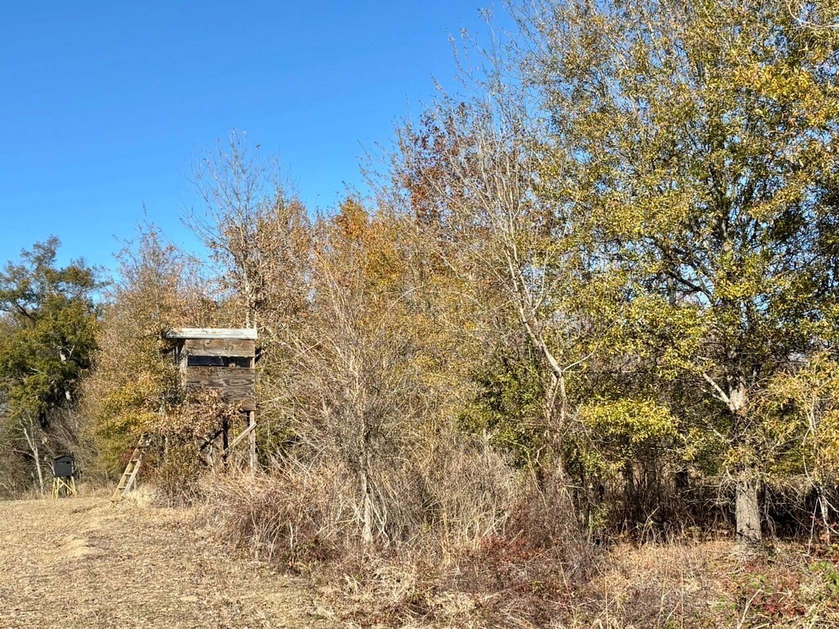 68 Acres of Recreational Land for Sale in Waterproof, Louisiana