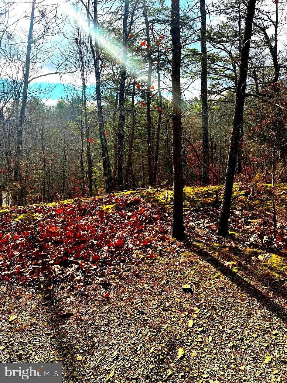 2.87 Acres of Land for Sale in Basye, Virginia