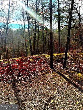 2.87 Acres of Land for Sale in Basye, Virginia