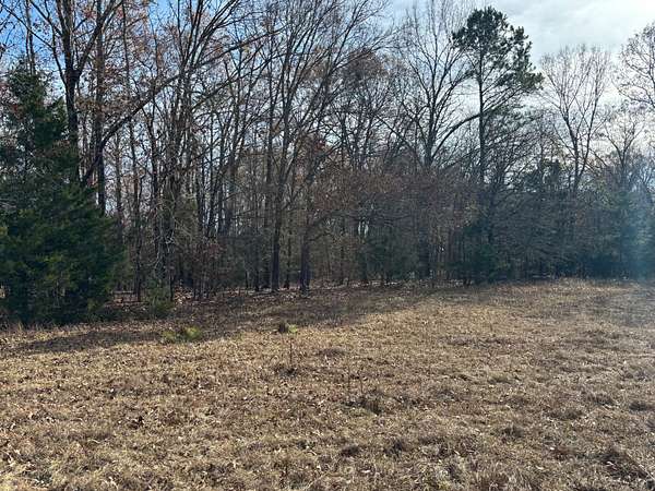6 Acres of Recreational Land for Sale in Valliant, Oklahoma