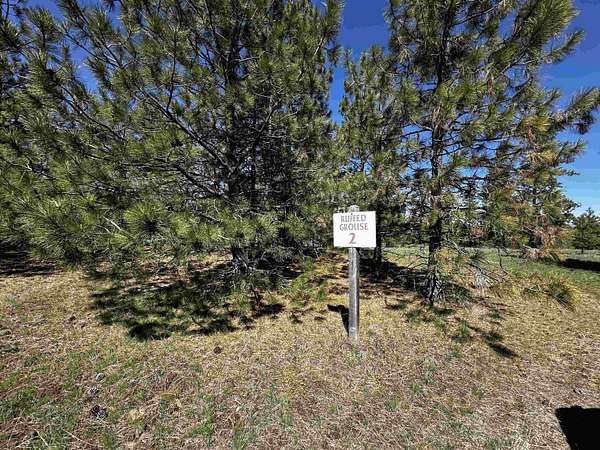 5.3 Acres of Residential Land for Sale in Davenport, Washington