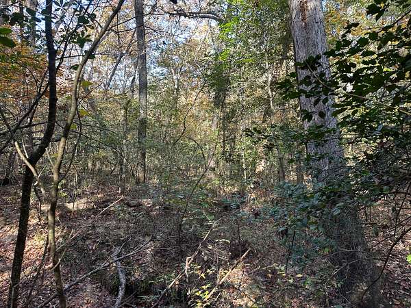 40 Acres of Recreational Land & Farm for Sale in Sardis, Arkansas