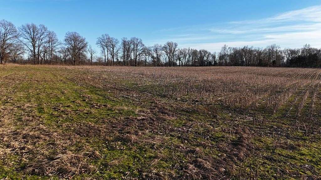 17.9 Acres of Land for Sale in McKenzie, Tennessee