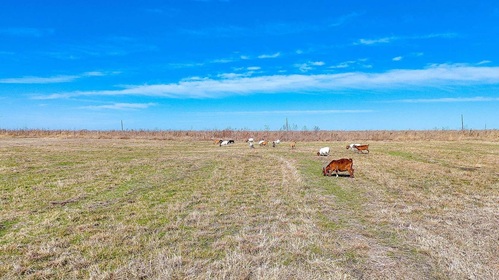 5 Acres of Residential Land for Sale in Corsicana, Texas