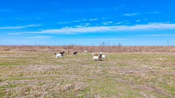 5 Acres of Residential Land for Sale in Corsicana, Texas