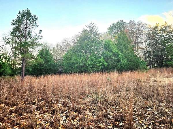 2 Acres of Residential Land for Sale in LaRue, Texas