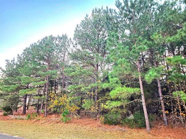 2 Acres of Residential Land for Sale in LaRue, Texas