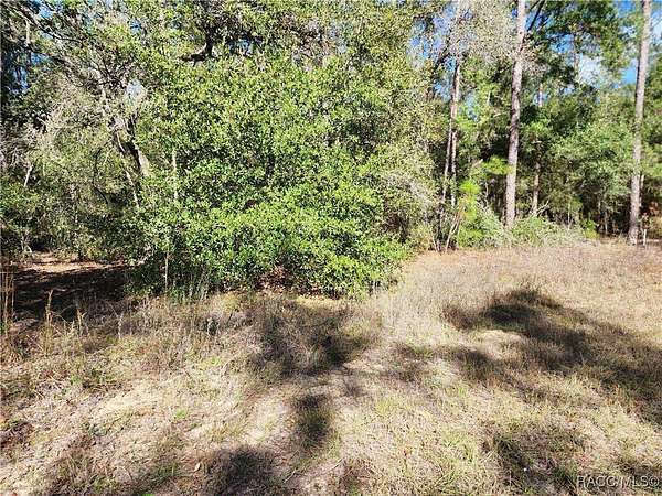 0.27 Acres of Residential Land for Sale in Citrus Springs, Florida