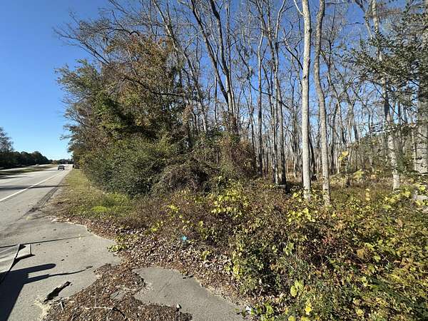 1.2 Acres of Residential Land for Sale in Elloree, South Carolina