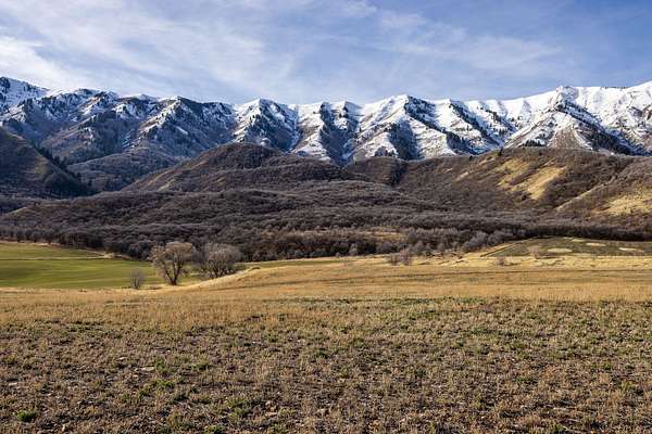 56 Acres of Agricultural Land for Sale in Mendon, Utah