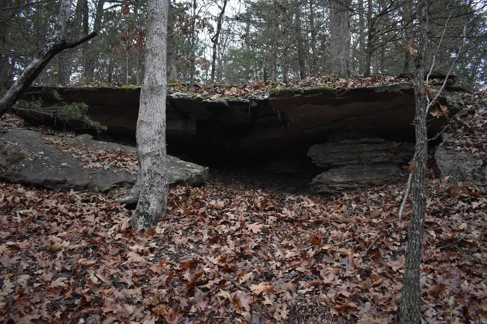 103 Acres of Recreational Land & Farm for Sale in Scranton, Arkansas