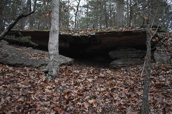 103 Acres of Recreational Land & Farm for Sale in Scranton, Arkansas