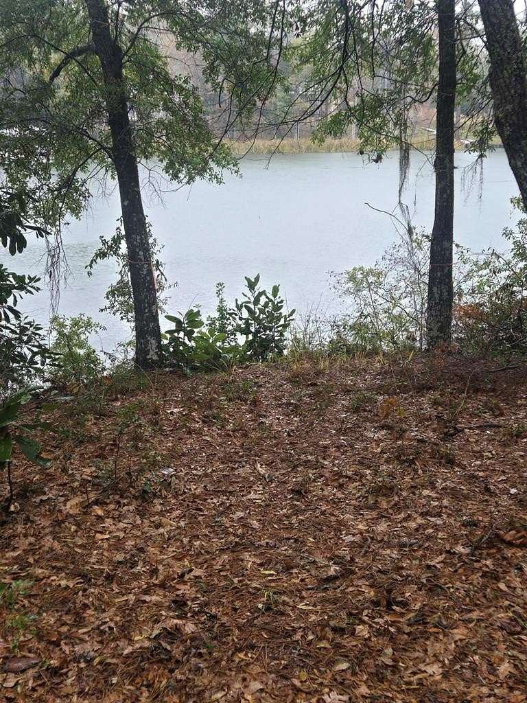 1.35 Acres of Residential Land for Sale in Georgetown, Georgia