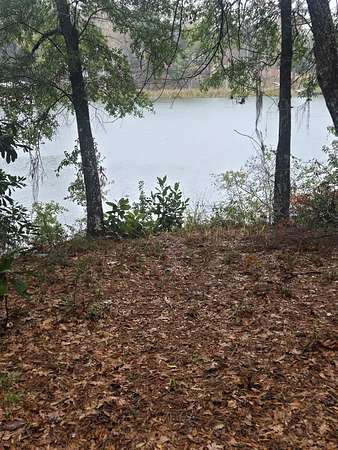 1.35 Acres of Residential Land for Sale in Georgetown, Georgia