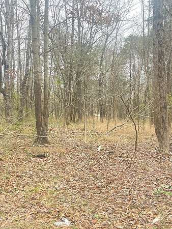 1 Acre of Residential Land for Sale in Byhalia, Mississippi
