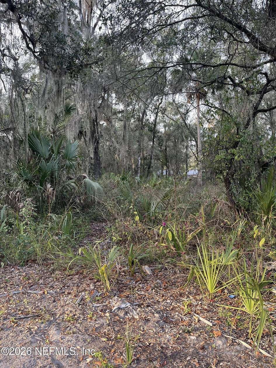 0.21 Acres of Commercial Land for Sale in Welaka, Florida