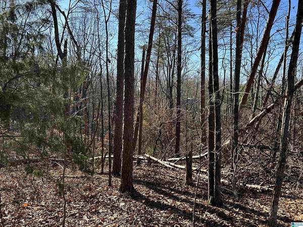 0.74 Acres of Residential Land for Sale in Columbiana, Alabama