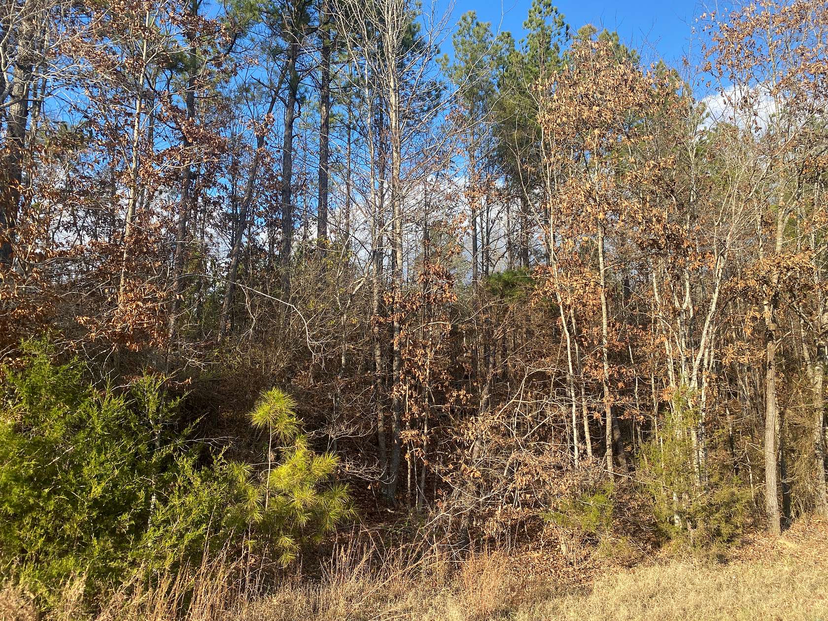11.6 Acres of Recreational Land & Farm for Sale in Selmer, Tennessee