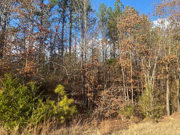 11.6 Acres of Recreational Land & Farm for Sale in Selmer, Tennessee