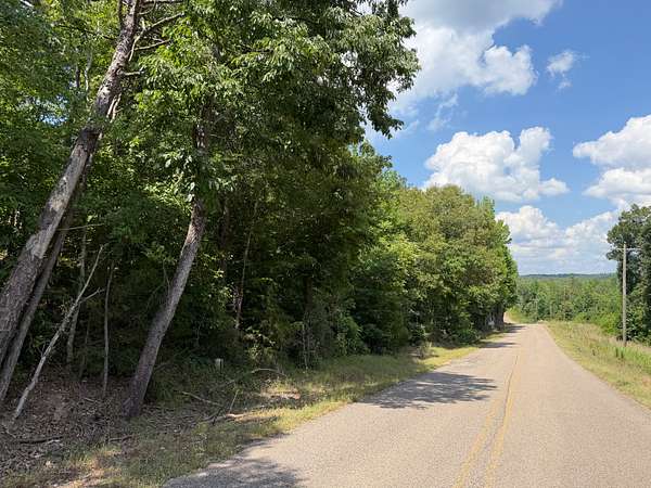 11.6 Acres of Land for Sale in Selmer, Tennessee