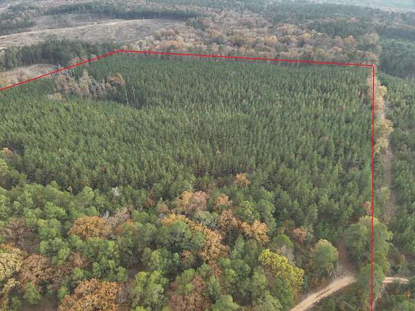 40 Acres of Recreational Land & Farm for Auction in Chidester, Arkansas