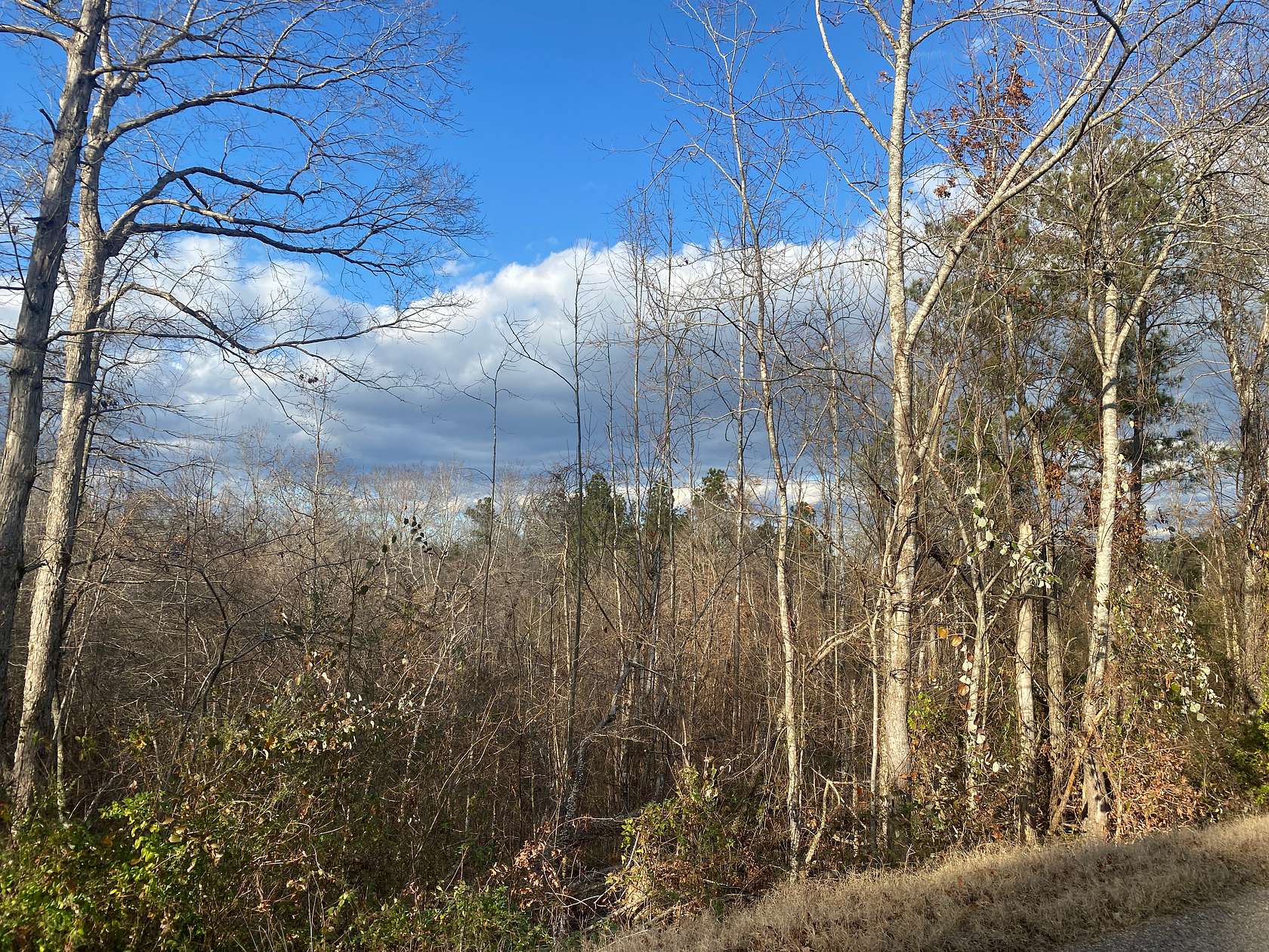 8.77 Acres of Agricultural Land for Sale in Selmer, Tennessee