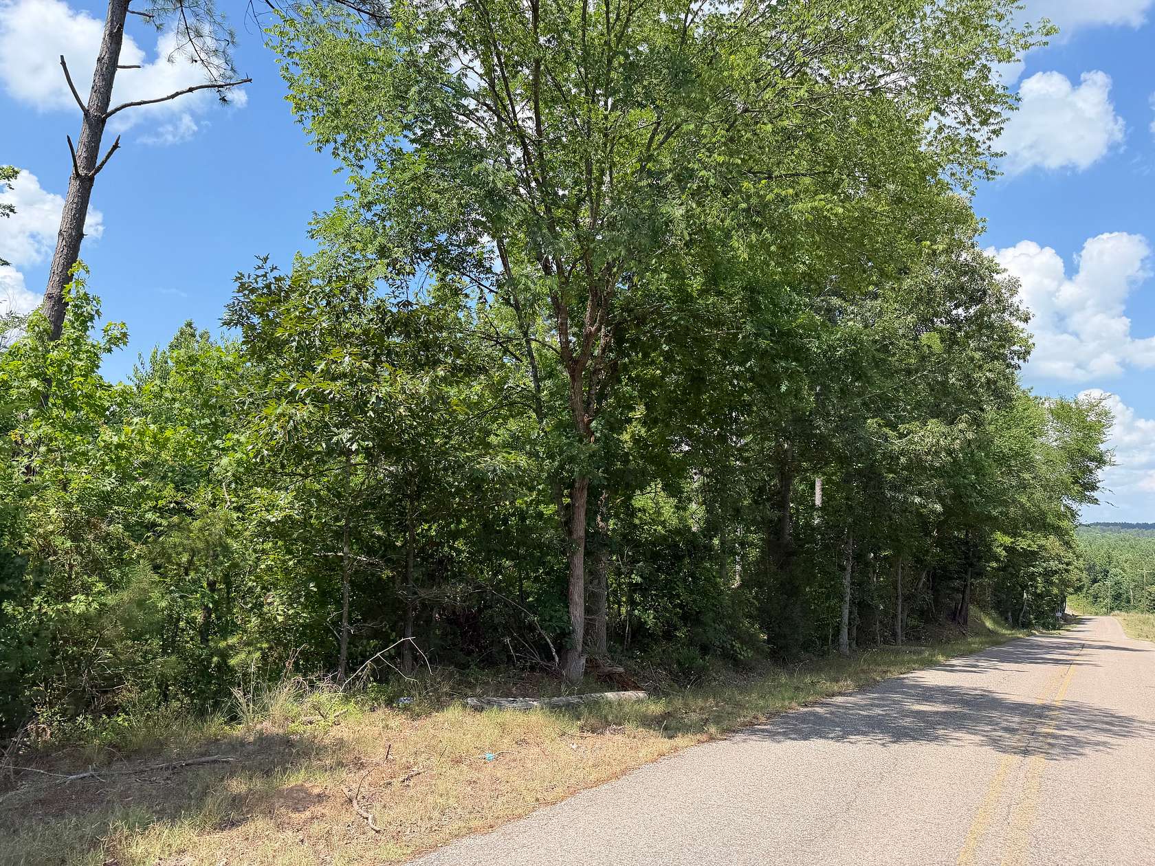 8.77 Acres of Agricultural Land for Sale in Selmer, Tennessee