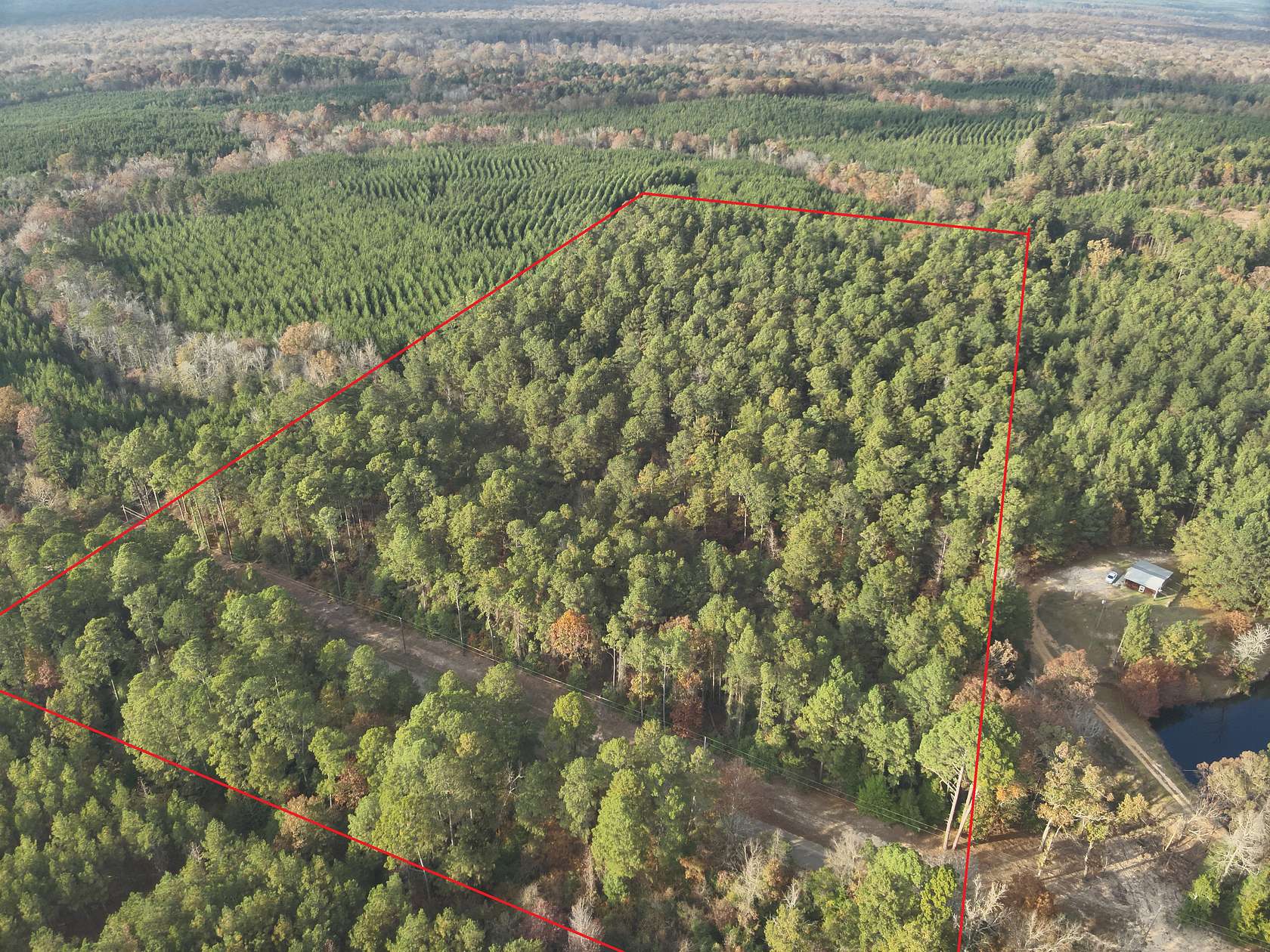 20 Acres of Land for Auction in Chidester, Arkansas